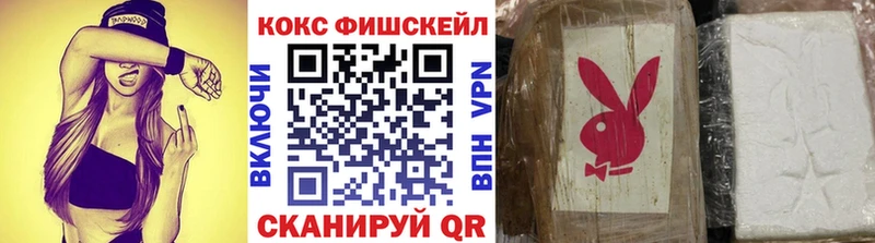 COCAIN Эквадор  Северская 
