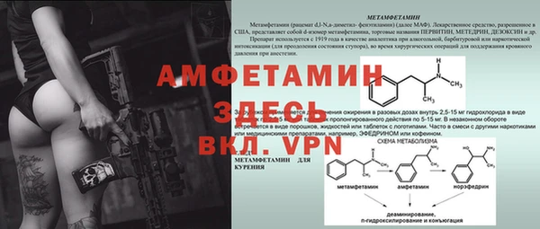 гашик Белокуриха