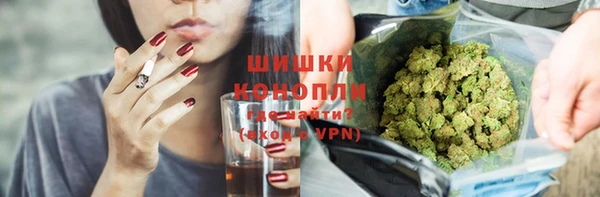 гашик Белокуриха