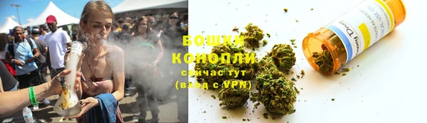 гашик Белокуриха