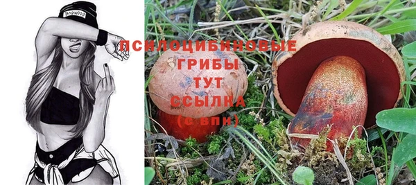 ГАЛЛЮЦИНОГЕННЫЕ ГРИБЫ Белоозёрский
