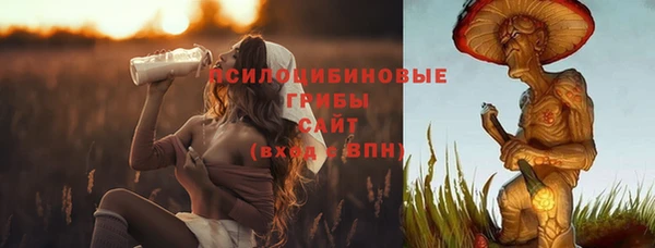 ГАЛЛЮЦИНОГЕННЫЕ ГРИБЫ Белоозёрский