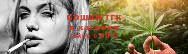 гашик Белокуриха
