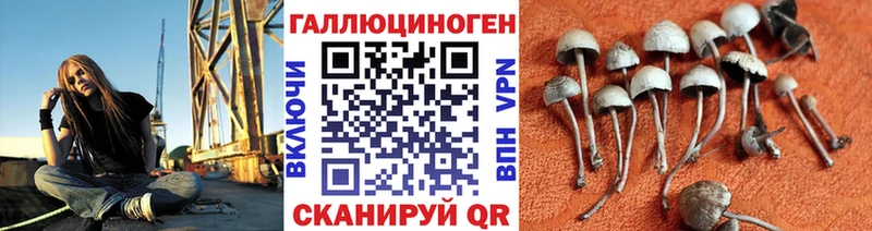 Галлюциногенные грибы мухоморы  Северская 